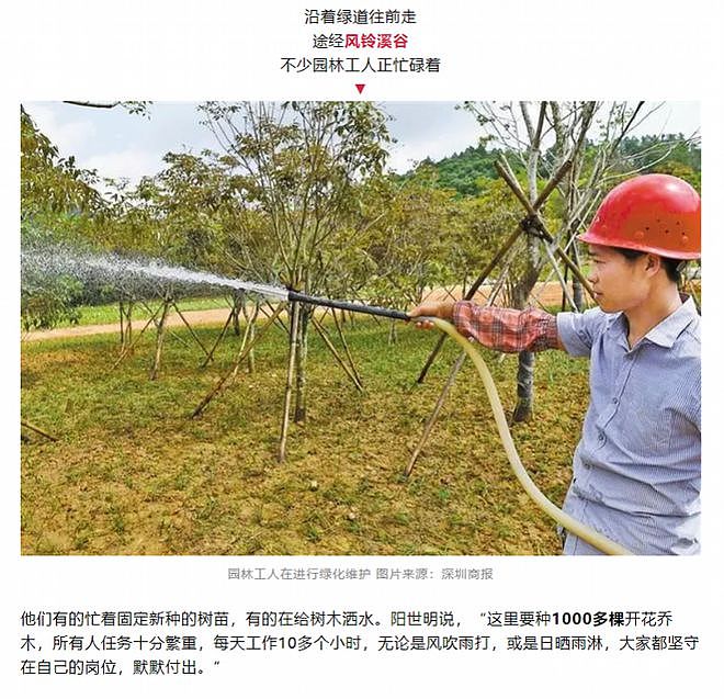 深圳罗湖网红景点建完封三年，被指部门扯皮、资金浪费（组图） - 12