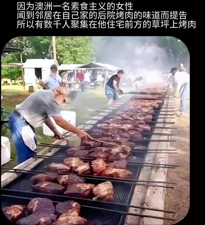 不满邻居在后院烤肉，澳素食主义者起诉！案件引得数千网友开烤肉趴（组图） - 2