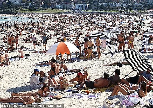 “人间地狱！”澳全球最美沙滩近照曝光，澳人惊呼：这是诈骗（组图） - 1