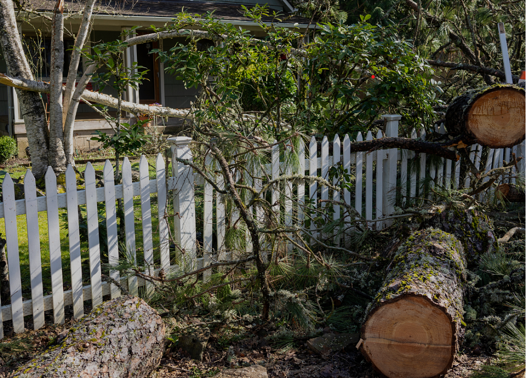 美国男子在自家后院，修剪隔壁长出来的树枝，被邻居一枪毙命！（组图） - 3