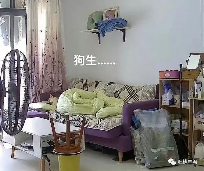 【爆笑】71岁刘晓庆运动照流出后...网友：这就是现实版画皮吧（视频/组图） - 48