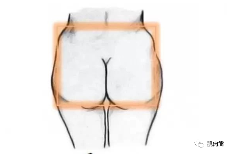 【美女】女生哪种形状的臀部，才最性感（组图） - 9