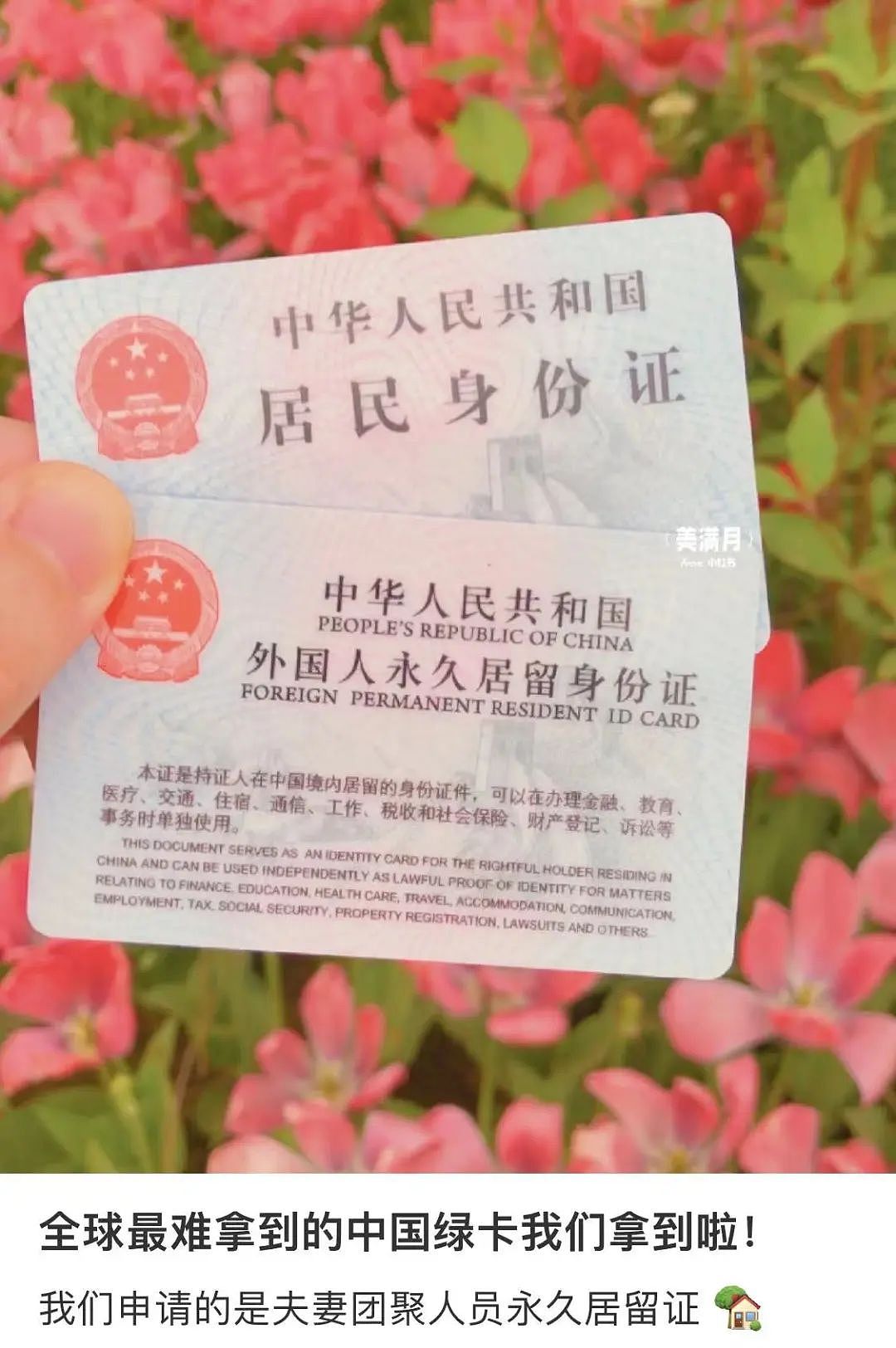 全网热议！加国华人夫妻带着6岁儿子回流，10个月拿下“中国绿卡“（组图） - 10