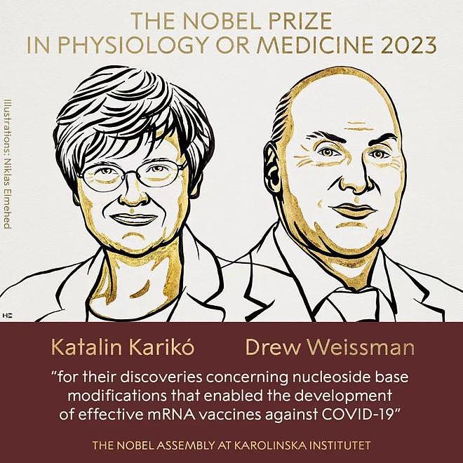 刚刚，首奖揭晓！2023年诺贝尔生理学或医学奖，与疫苗有关（组图） - 1