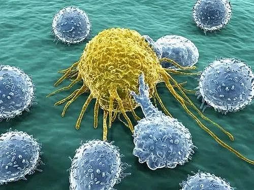癌细胞“讨厌”的7种碱性食物，平时别不舍得吃，建议了解一下（组图） - 2