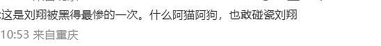 批评今日吴艳妮！等于当年网暴刘翔？争论：是不是碰瓷刘翔（组图） - 13