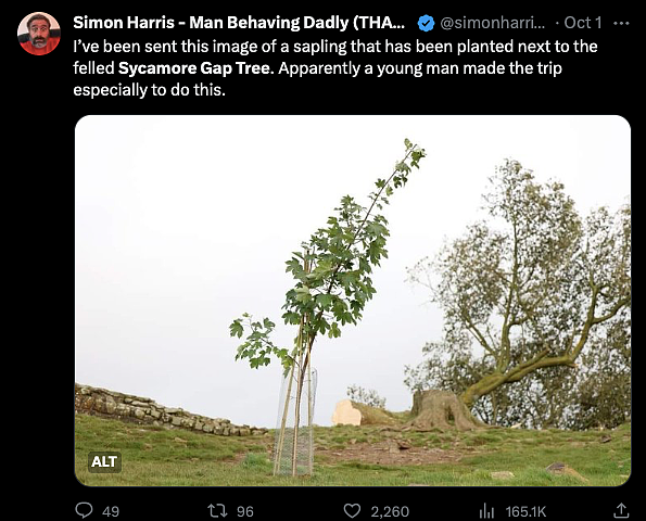 英国300年名树被人为砍断，无数英国人心碎吊唁：求找出杀树凶手（组图） - 24