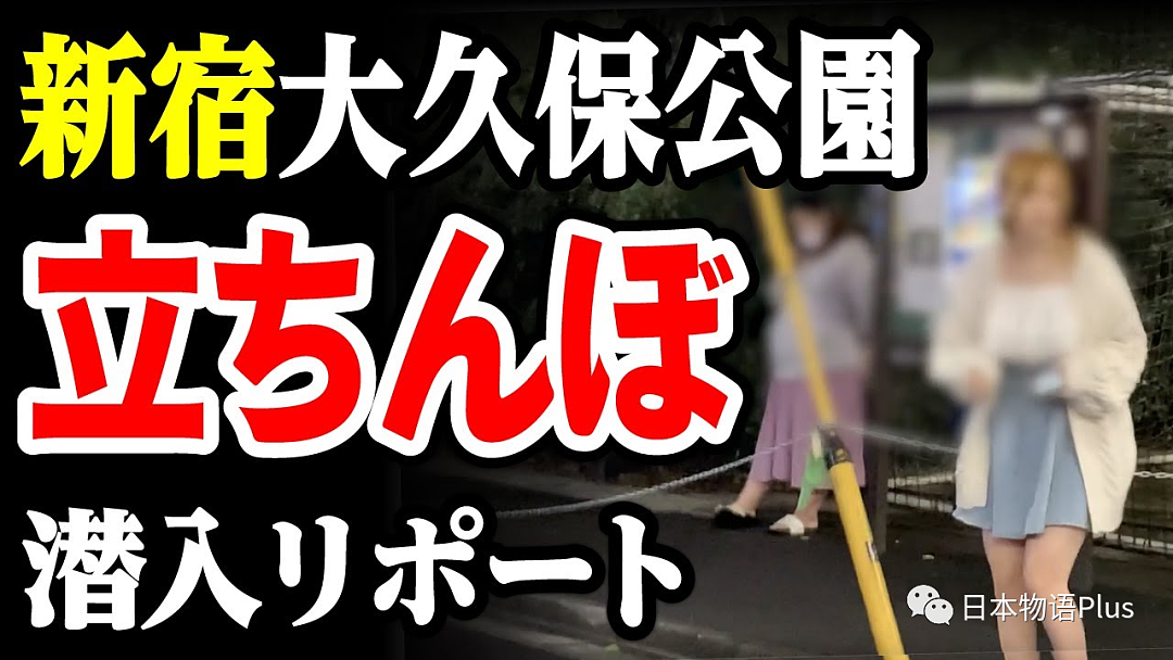 日本大久保公园站街女过多，警方逮捕了35名女性，她们竟为了赚钱给牛郎和偶像（组图） - 11