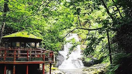 日本石川县流水面泉水验出病菌，近900人食物中毒，餐厅将歇业（图） - 1