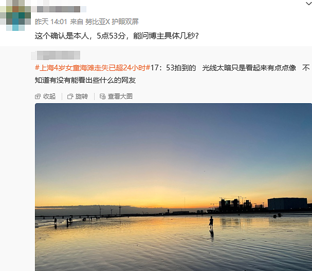 上海4岁女童海滩离奇失踪事件，母亲群聊记录曝光：4大疑点，1个重点（组图） - 7