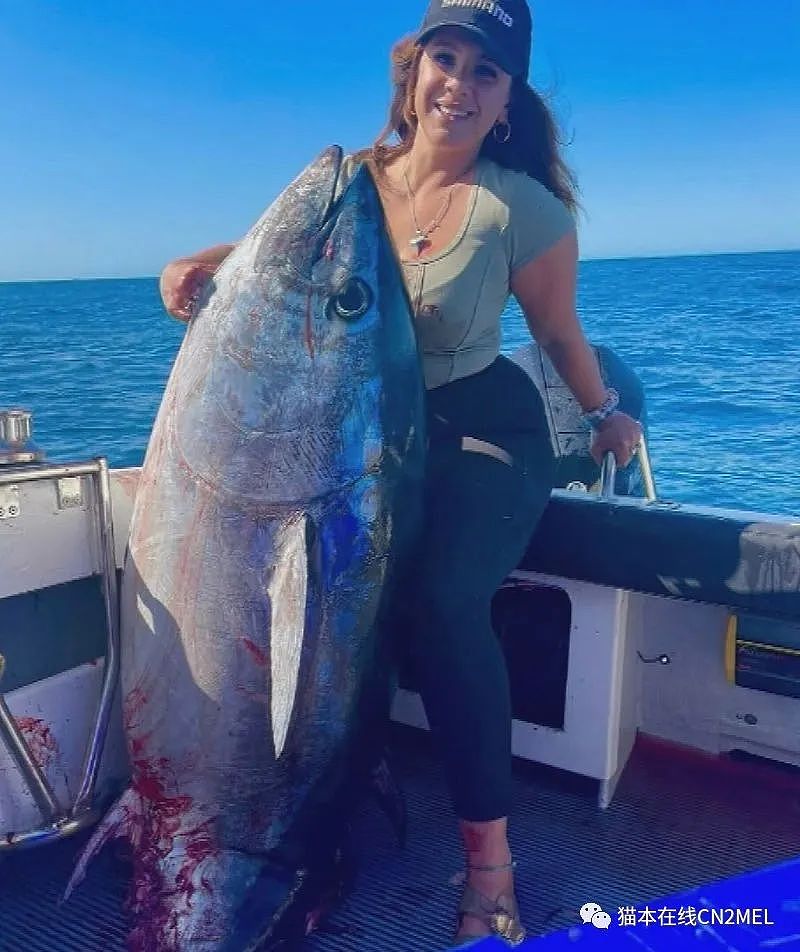 澳女刚刚钓上条巨型金枪鱼，大白鲨就一口咬下……众人目瞪口呆（视频/组图） - 1