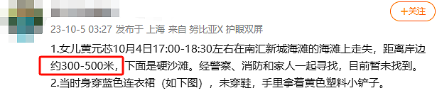 上海4岁女童海滩离奇失踪事件，母亲群聊记录曝光：4大疑点，1个重点（组图） - 9