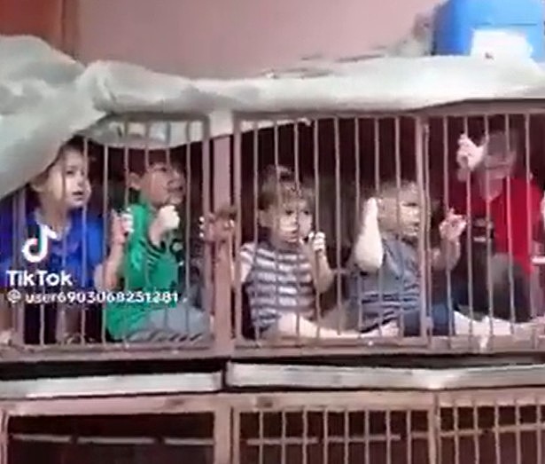 不忍直面！以色列儿童被囚笼中，被俘女兵曝光（组图） - 2