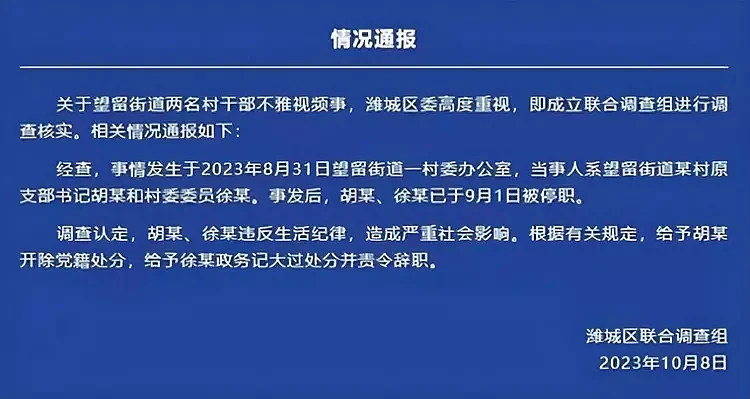 村干部不雅事件后续，男方开除党籍女方辞职，两人真实情况被扒（组图） - 2