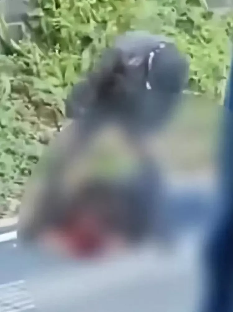 湖北发生血腥恶性事件：一男子持铁锤当街行凶，脑浆都砸出来了？（视频/组图） - 2