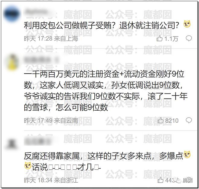 老百姓输了还是赢了？“北极鲶鱼”事件霸榜热搜：爷爷真是大贪官（组图） - 37