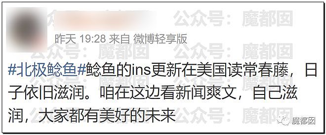 老百姓输了还是赢了？“北极鲶鱼”事件霸榜热搜：爷爷真是大贪官（组图） - 69