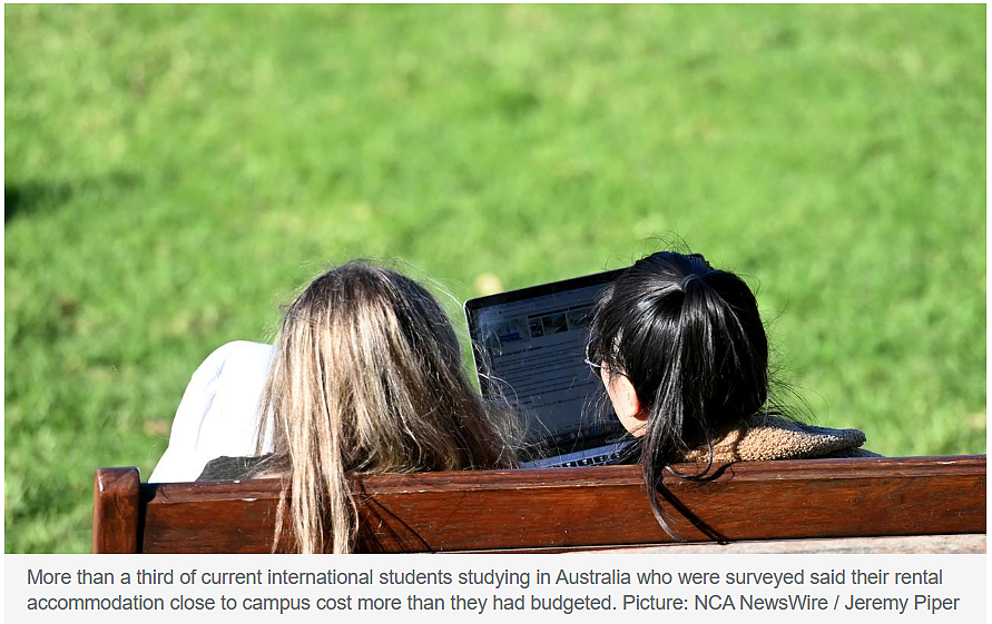 震惊！澳洲高考考生竟然集体“嗑药”赶考，刚刚被曝光了…（组图） - 24