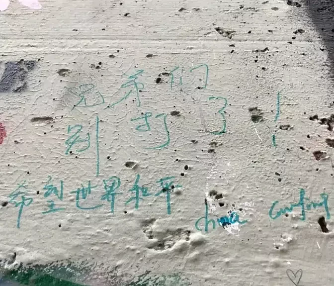 以色列修建的加沙“隔离墙”：每几十米一个机枪瞭望塔，被中国游客写上“拆”（视频/组图） - 5