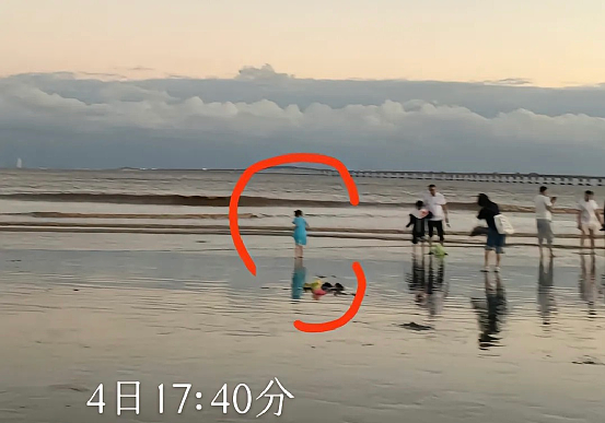 上海4岁女童失踪第8天，最新监控视频流出刺痛全网：这才是灾祸发生的真相！（组图） - 5