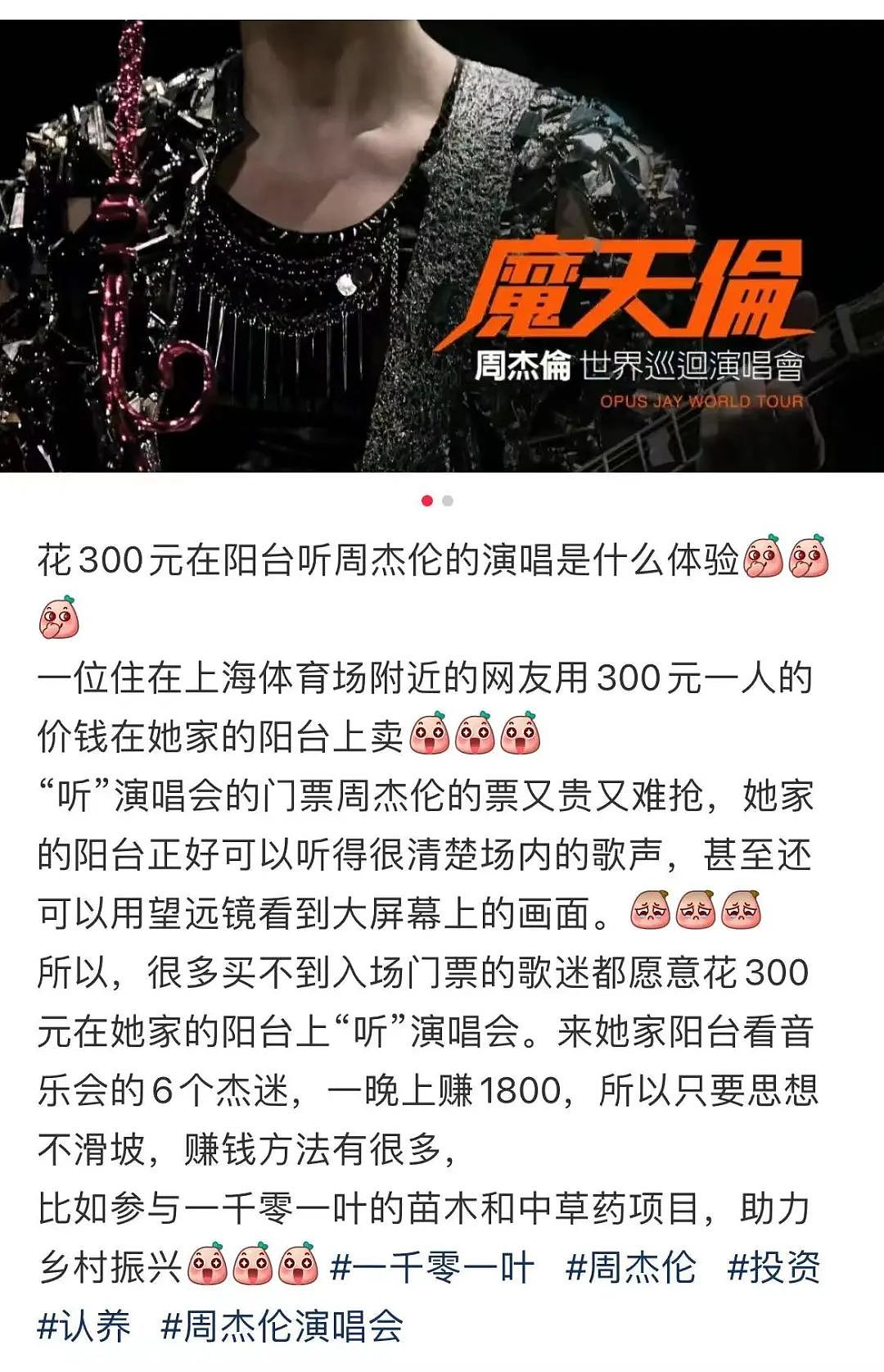 上海民众热衷花300块租个阳台，看周杰伦演唱会（组图） - 5