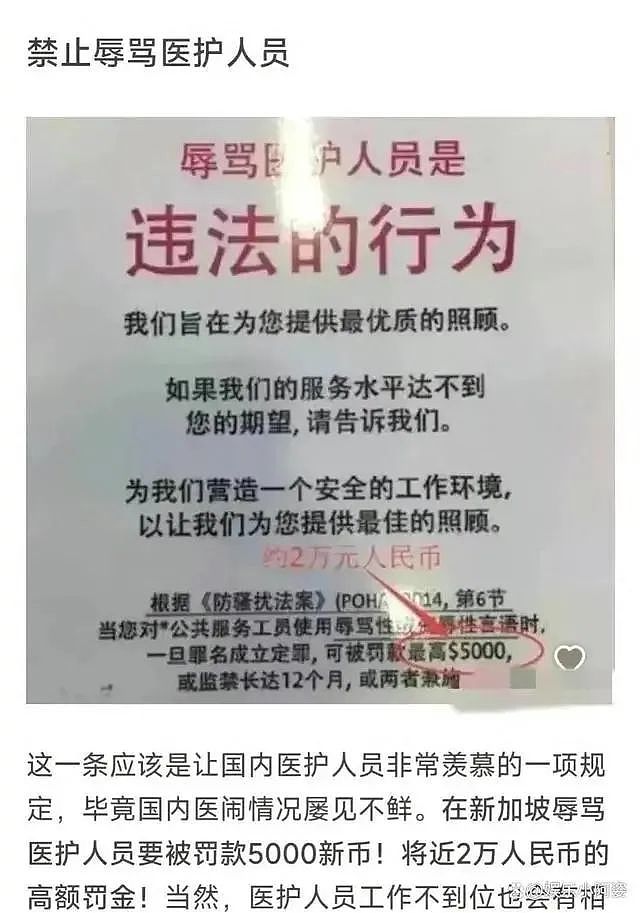 海外旅行爆粗口，中国女网红恐吃2年牢饭！网友反应不一：活该？还是被歧视？（视频/组图） - 7