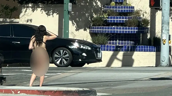 美国街头性工作者近乎裸体徘徊，但警察束手无策（组图） - 3