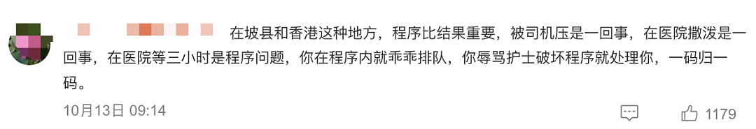 只因在海外爆了粗口，华女恐要坐牢两年！网友反应不一：活该？还是被歧视（视频/组图） - 12