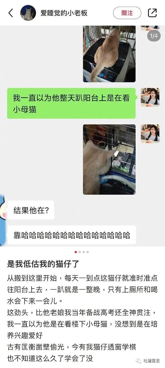 【爆笑】选秀选手同时撞脸鹿晗关晓彤？网友：这就是二胎组合吗（视频/组图） - 56