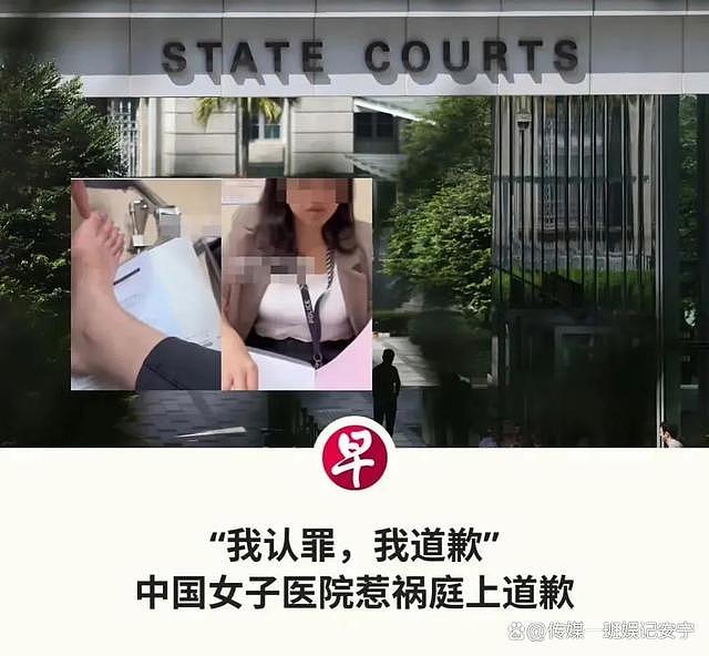 大闹新加坡的中国女网红身后灰产被扒，她认罪后却无大哥肯保释她（组图） - 10