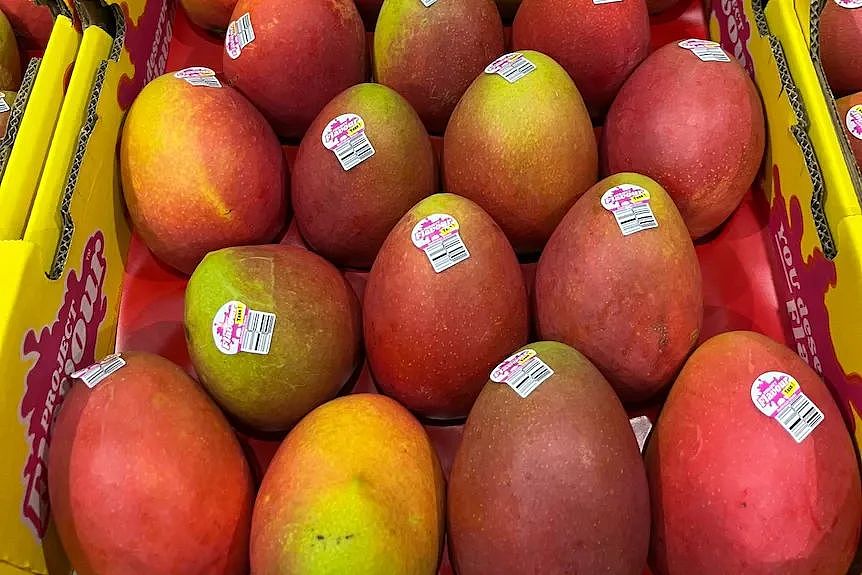 期待！今年夏天，澳洲人有3种新芒果可以吃了（组图） - 4