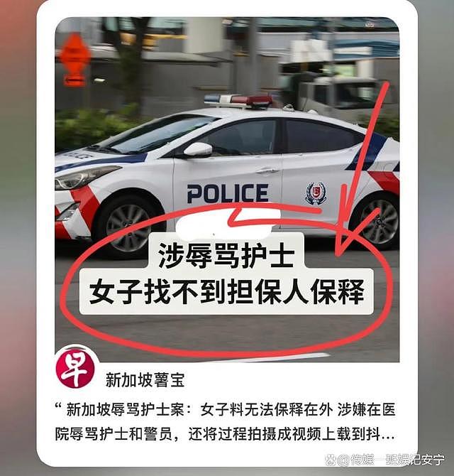大闹新加坡的中国女网红身后灰产被扒，她认罪后却无大哥肯保释她（组图） - 15