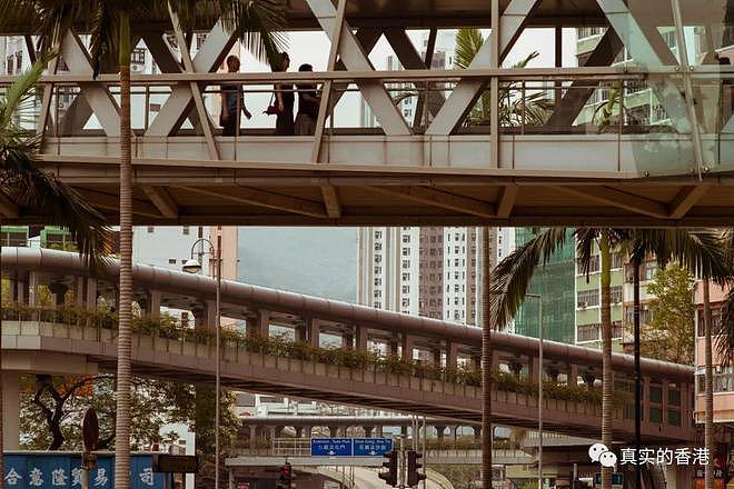 香港前特首提出内地自驾到香港，你怎么看（组图） - 1