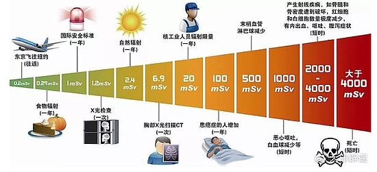 坐一次飞机回国相当于拍10次X光？香蕉竟然是辐射之王（组图） - 7