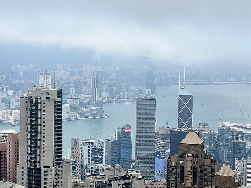 30岁+的内地人才流向香港：鸡娃不如鸡自己（组图） - 6