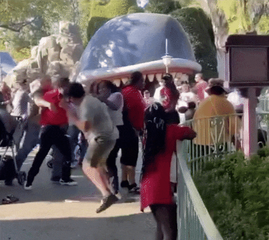 至少5人！迪士尼乐园爆发群殴，婴儿车被推倒在地...（组图） - 4