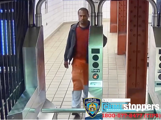 又是精神病！纽约一名30岁女子被陌生人突然推下地铁站台（组图） - 5