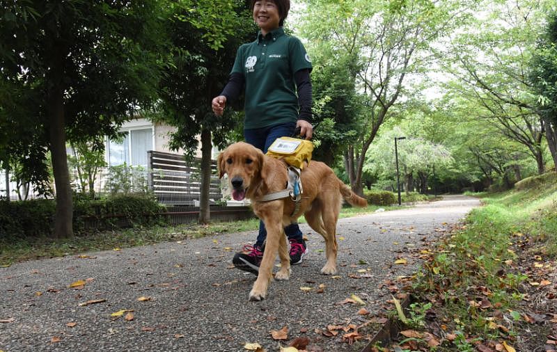 四川2岁女童被狗咬得肾脏破裂：遇到恶狗，不要打、不要跑，应该这么做（组图） - 18