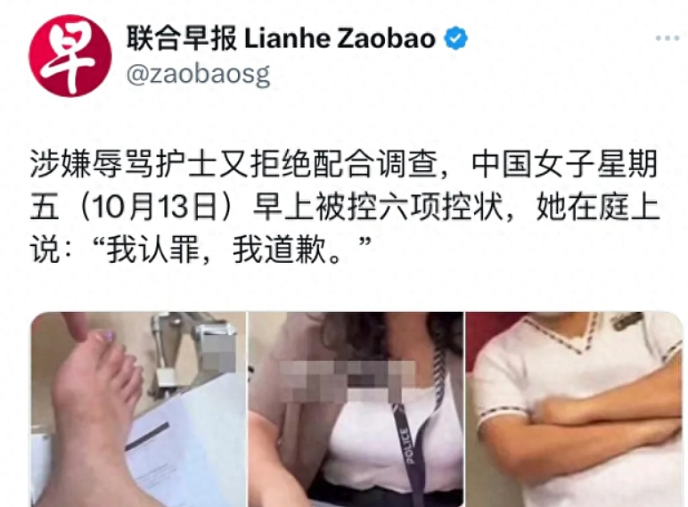 辱骂护士的中国女子新加坡被捕！新加坡法律到底有多严格？（组图） - 1