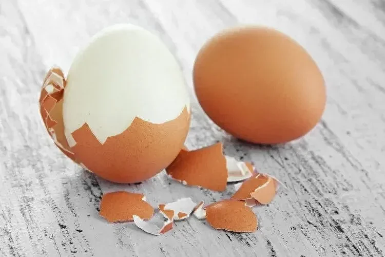 浙大研究：每天多吃半个蛋，心脏病和癌症死亡风险或升高？可信吗（组图） - 5