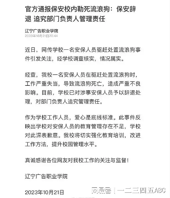 死状凄惨！流浪狗被保安在大树下处以极刑，学院是这样回应的（组图） - 3