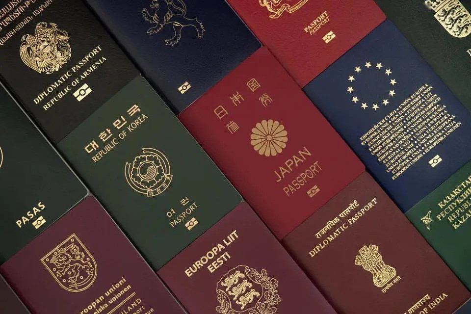 中俄伊朗手握8.8万本“黄金护照“ 欧盟提改政策（图） - 1