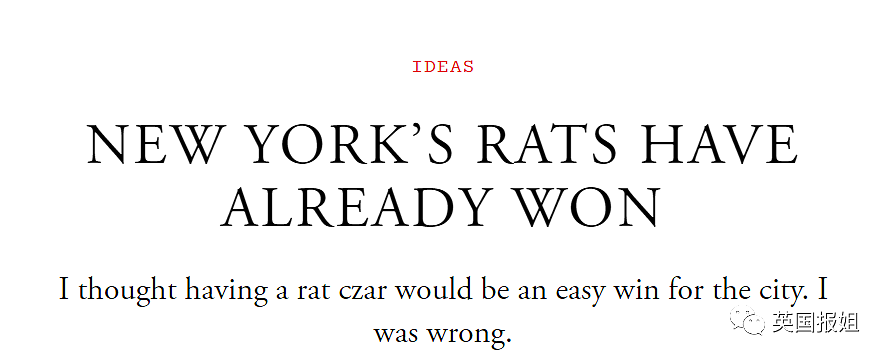 纽约200万鼠灾太疯狂！老鼠体型大如幼犬，网友：感觉它能两拳放倒我（组图） - 33