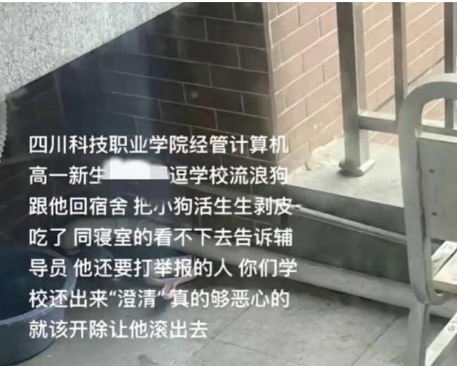 令人发指！四川高校学生将流浪狗哄骗至宿舍肢解，现场摆满残肢场面骇人（视频/组图） - 7