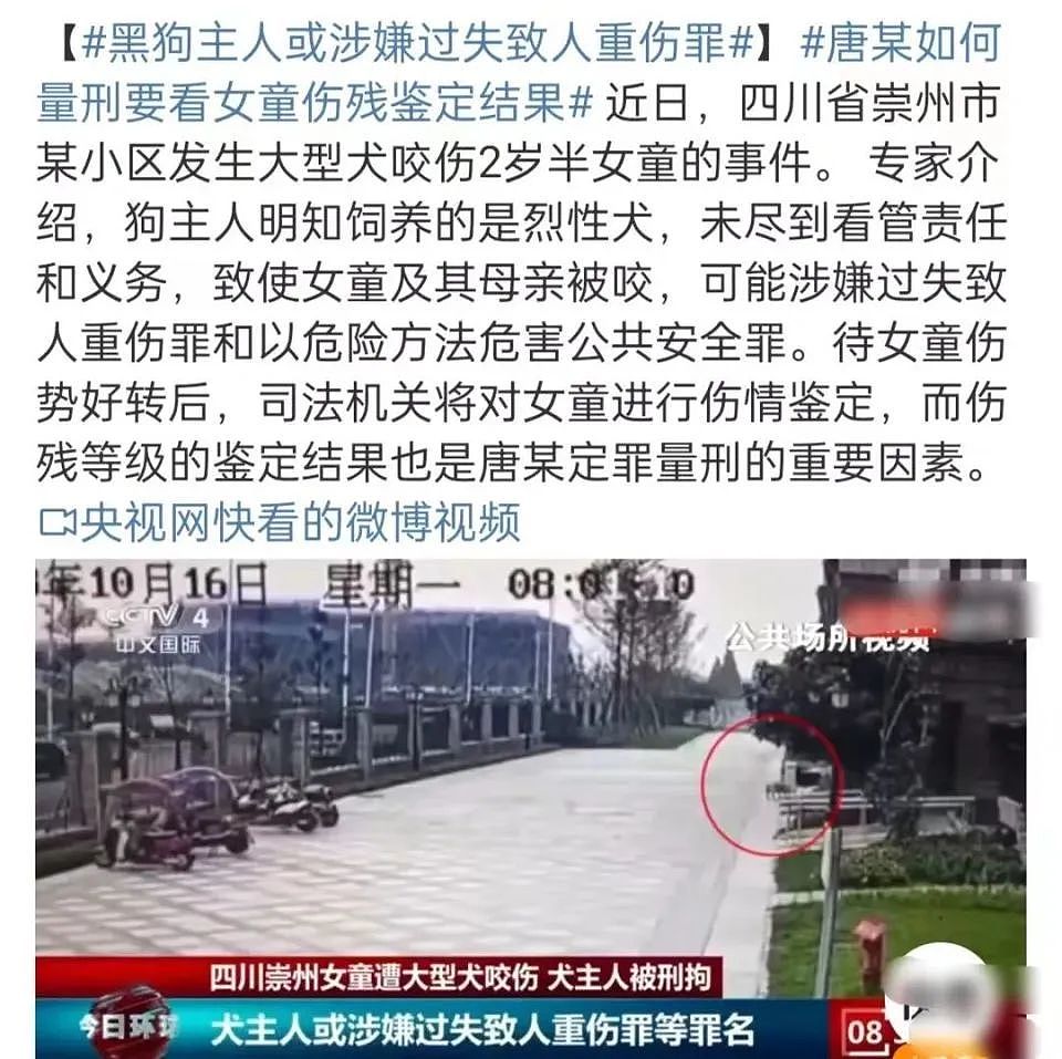 众星为流浪狗发声，陈乔恩李小冉评论区被骂，张馨予获网友力挺！（组图） - 1