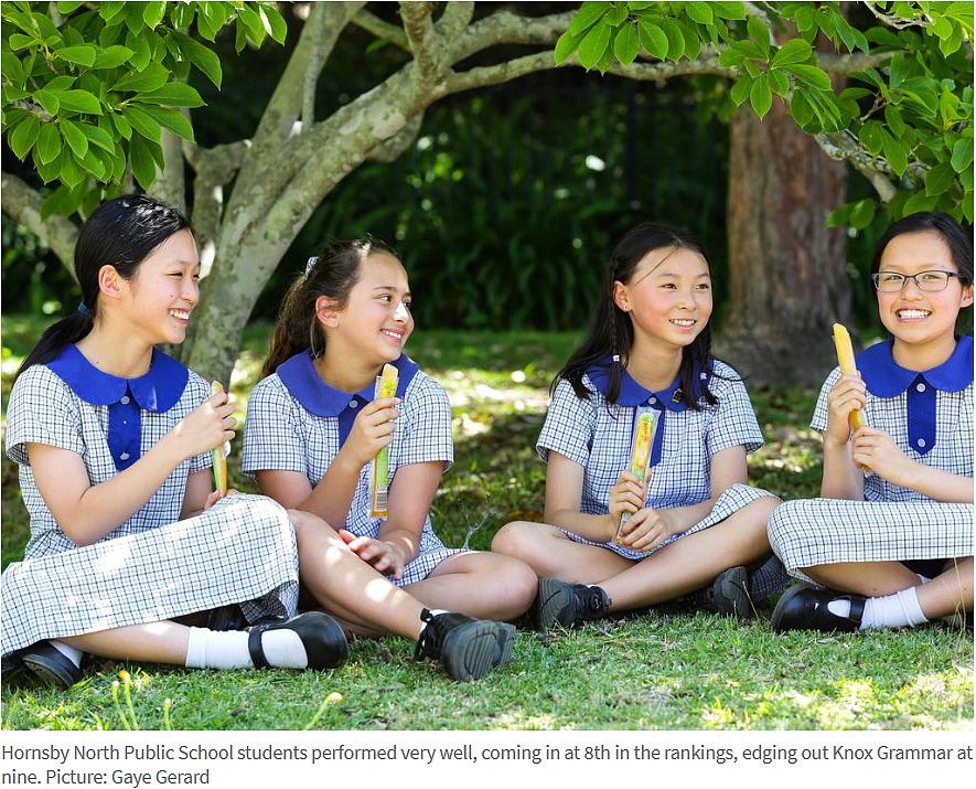 别争了！悉尼最牛小学榜单出炉，华人区学校表现太亮眼（组图） - 5