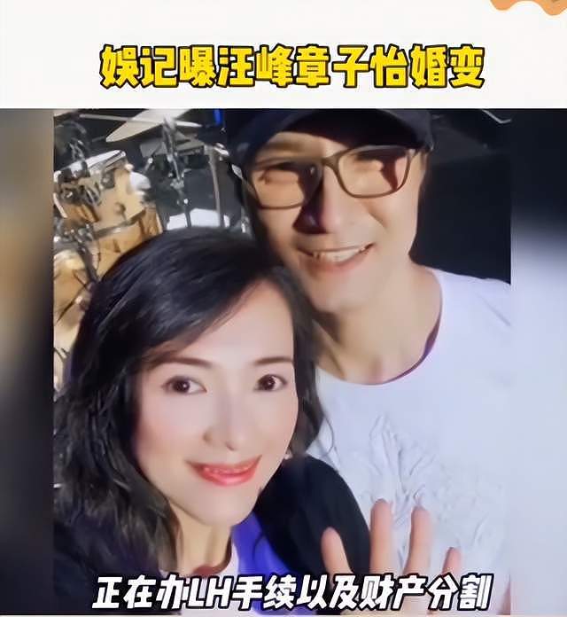 汪峰章子怡被曝离婚，儿子归女方，知情人透露两人分割35亿财产（视频/组图） - 10