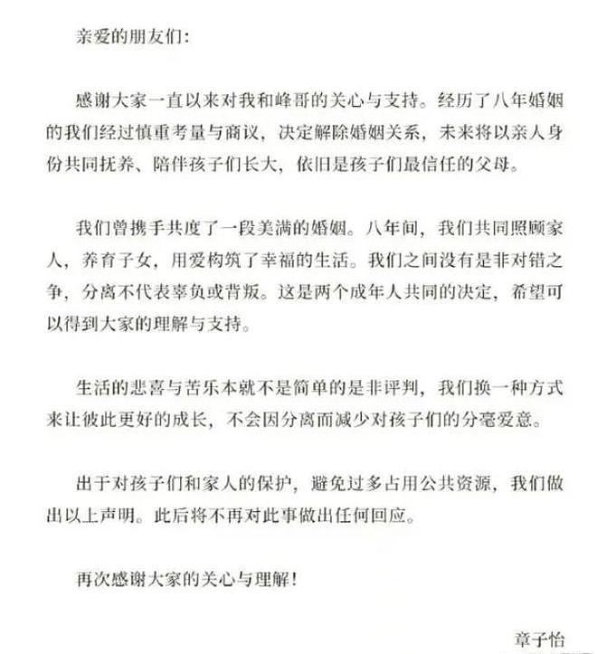 刘大锤称汪峰章子怡离婚原因：问题不是在男方（组图） - 12