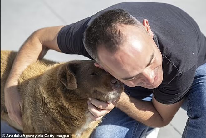 【宠物】吉尼斯认证的世界最长寿狗狗去世，享年31岁零5个月，喜欢和猫玩（组图） - 5