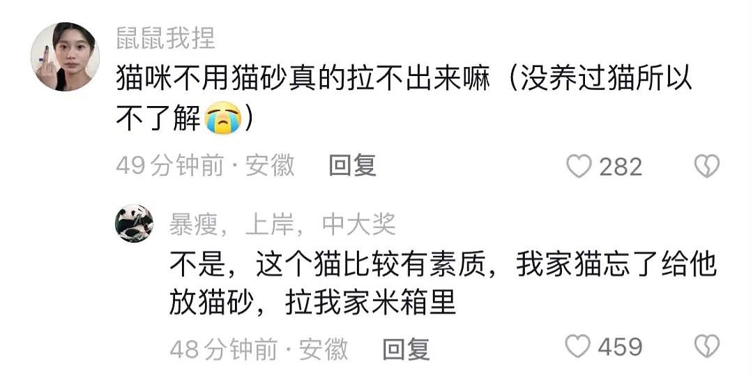 【爆笑】“汪峰和章子怡离婚了？”哈哈哈哈哈哈被网友评论笑疯了（组图） - 70